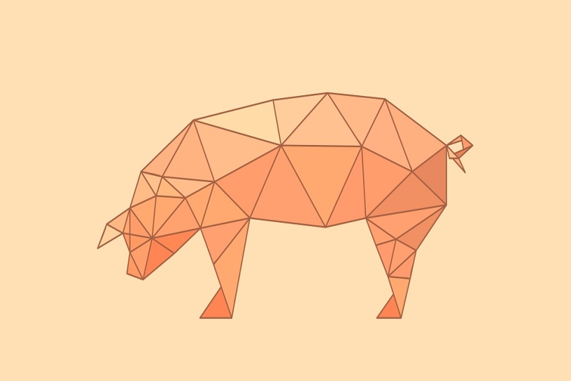 ‘돼지 잡는’ 아프리카돼지열병, 확산 공포